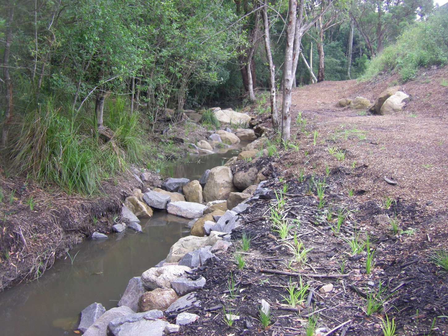 Restoration at Marmong Creek