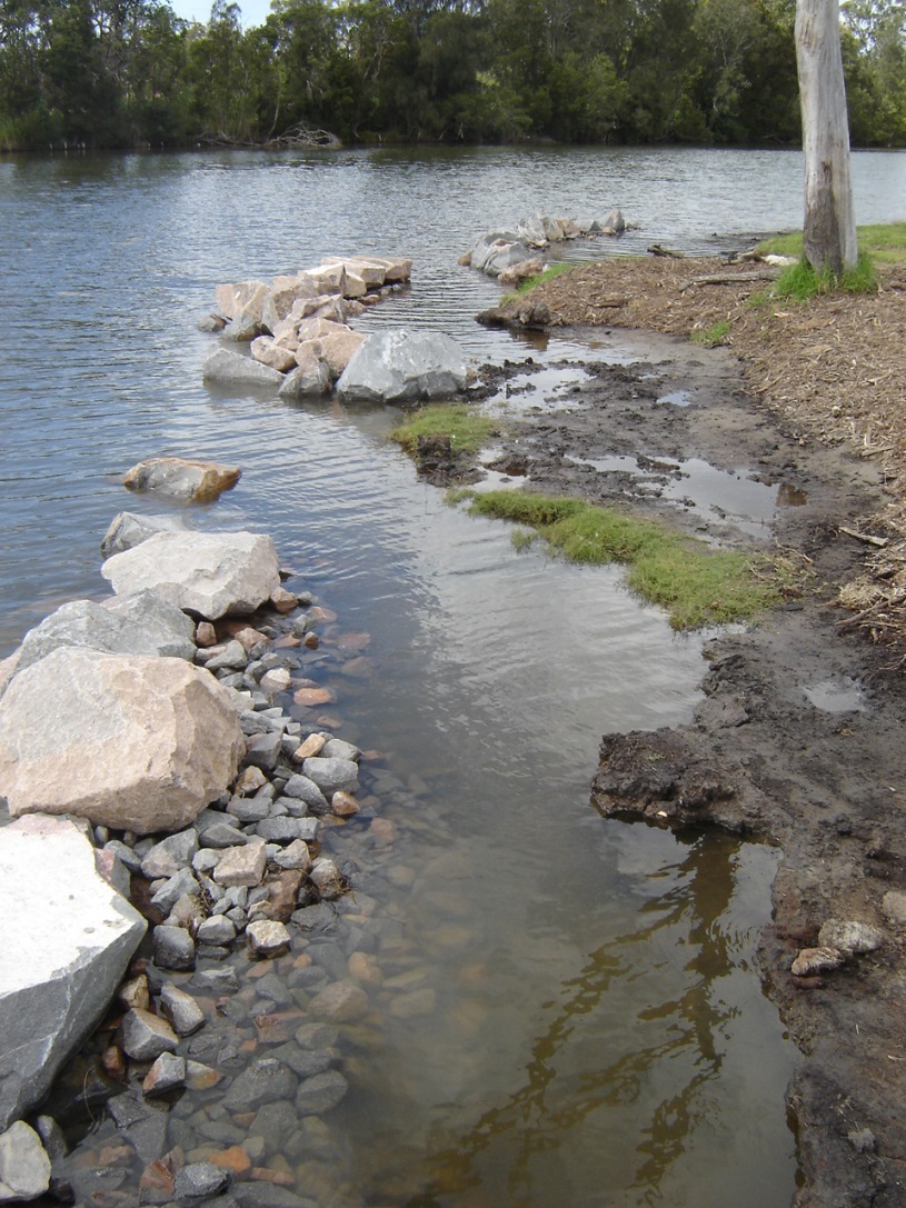 Cockel Creek Filletes